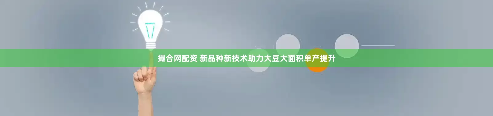 撮合网配资 新品种新技术助力大豆大面积单产提升