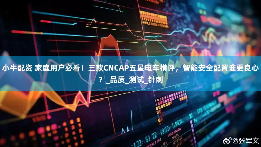 小牛配资 家庭用户必看！三款CNCAP五星电车横评，智能安全配置谁更良心？_品质_测试_针刺